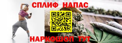 сатива Гатчина