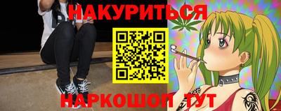 сатива Гатчина